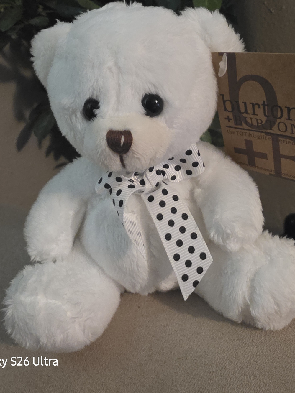 Burton White Plush Teddy Bear with Black-Polka Dot Bow